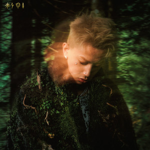 久久成人影视大全
