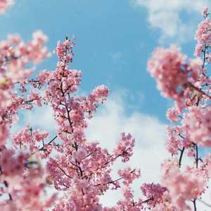 久久成人影视大全
